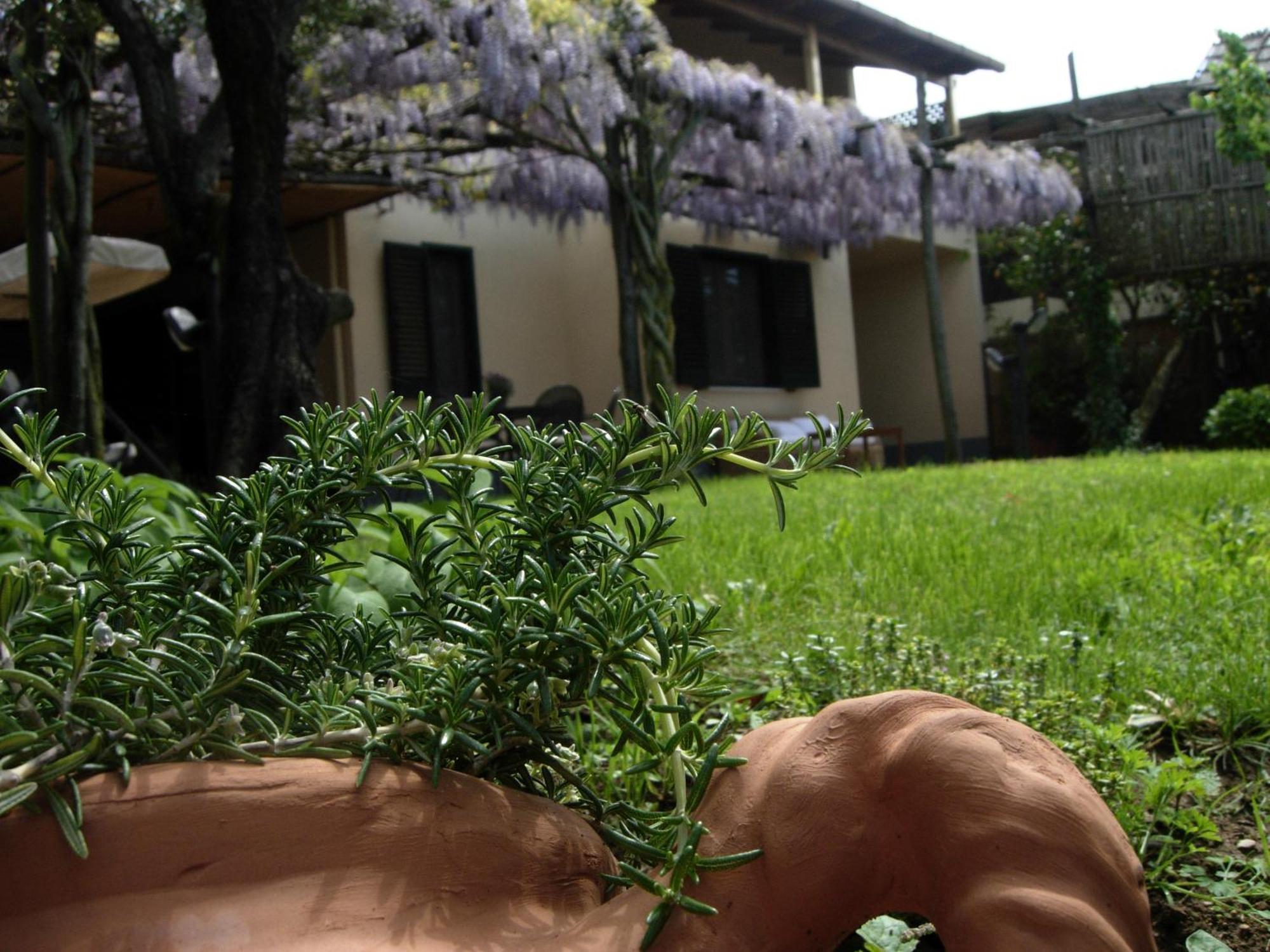 Villa Caprile Massa Lubrense Bilik gambar